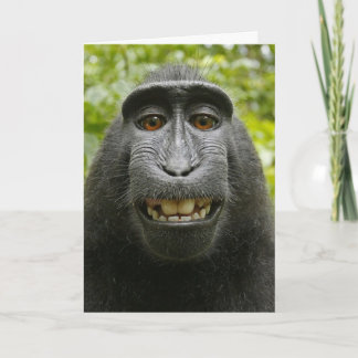 Macaque Monkey Valentine Card Helgkort