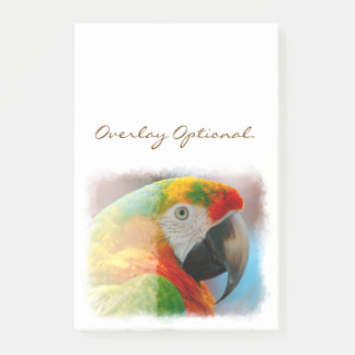 Macaw 1B Post-it Block