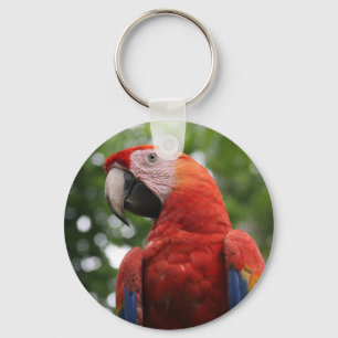 macaw ansikte nyckelring