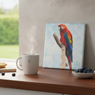 Macaw Beauty Kakelplatta