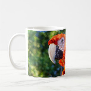 Macaw Bird Kaffemugg
