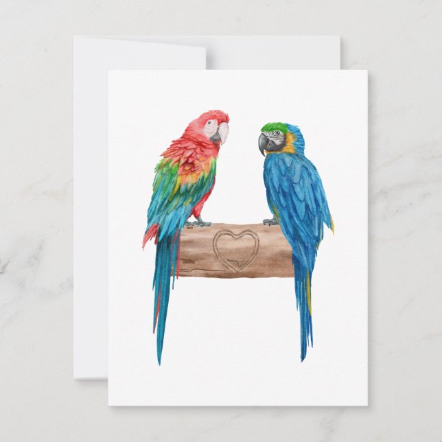 Macaw Bird Parrot Älskare Watercolor (Framsida)