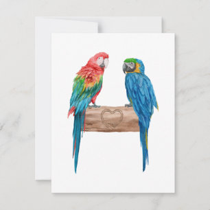 Macaw Bird Parrot Älskare Watercolor