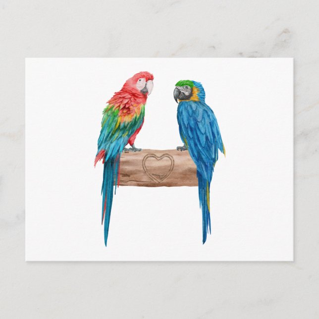 Macaw Bird Parrot Älskare Watercolor Inbjudan Vykort (Framsida)