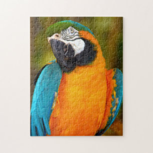 Macaw Bird Puzzle Pussel