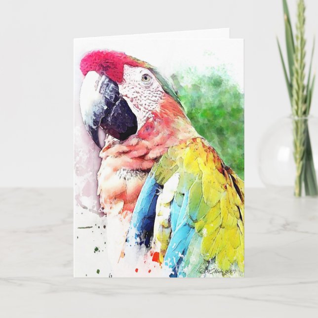 Macaw Blank Greeting Card Kort (Framsida)