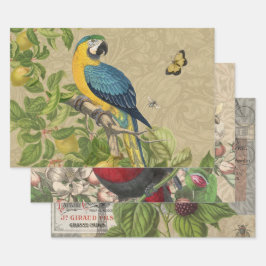 Macaw Blue Gult Tropical Jungle Antique