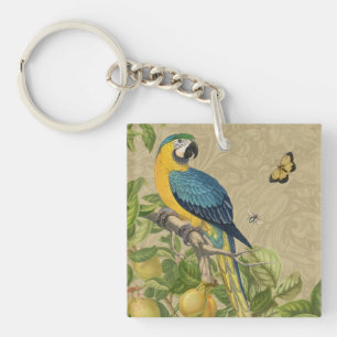 Macaw Blue Gult Tropical Jungle Antique