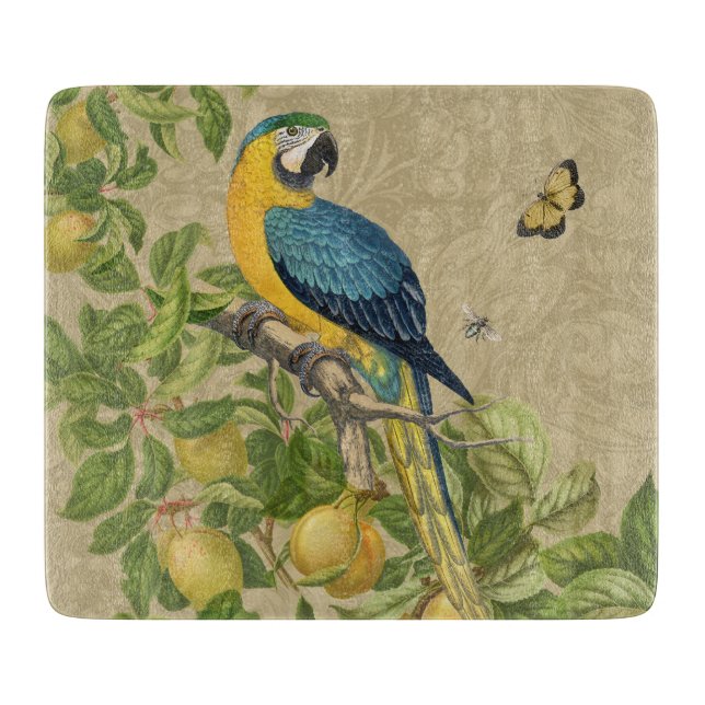 Macaw Blue Gult Tropical Jungle Antique (Framsidan)