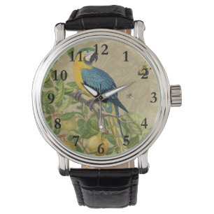 Macaw Blue Gult Tropical Jungle Antique Armbandsur