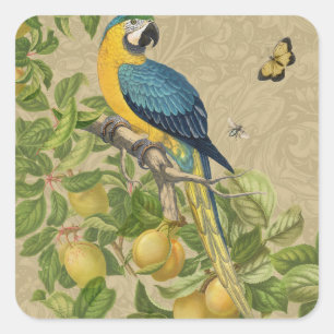 Macaw Blue Gult Tropical Jungle Antique Fyrkantigt Klistermärke