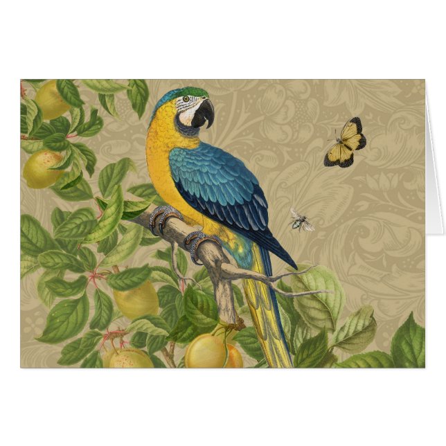 Macaw Blue Gult Tropical Jungle Antique Hälsningskort (Framsidan Horizontal)