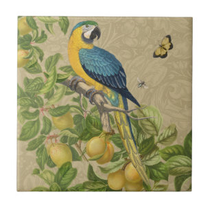 Macaw Blue Gult Tropical Jungle Antique Kakelplatta