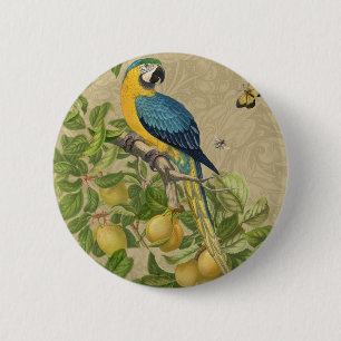 Macaw Blue Gult Tropical Jungle Antique Knapp