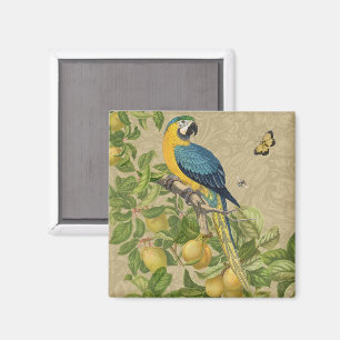 Macaw Blue Gult Tropical Jungle Antique Magnet