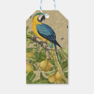 Macaw Blue Gult Tropical Jungle Antique Presentetikett