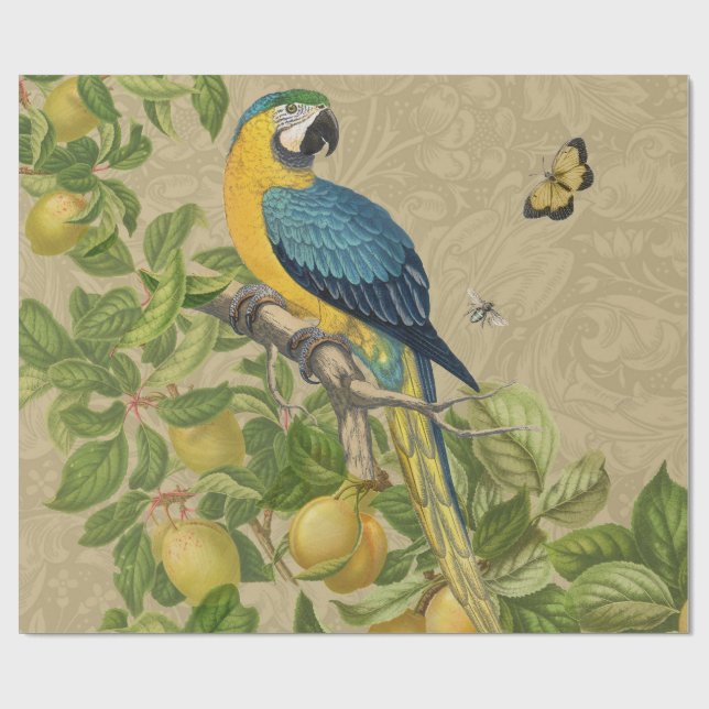 Macaw Blue Gult Tropical Jungle Antique Presentpapper (Platt)