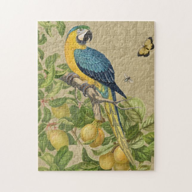 Macaw Blue Gult Tropical Jungle Antique Pussel (Vertikal)