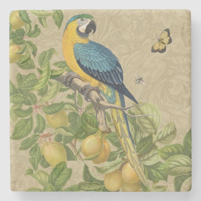 Macaw Blue Gult Tropical Jungle Antique Stenunderlägg (Framsidan)