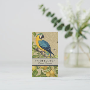 Macaw Blue Gult Tropical Jungle Antique Visitkort