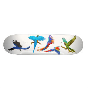 Macaw Crazy Skateboard Bräda 20 Cm