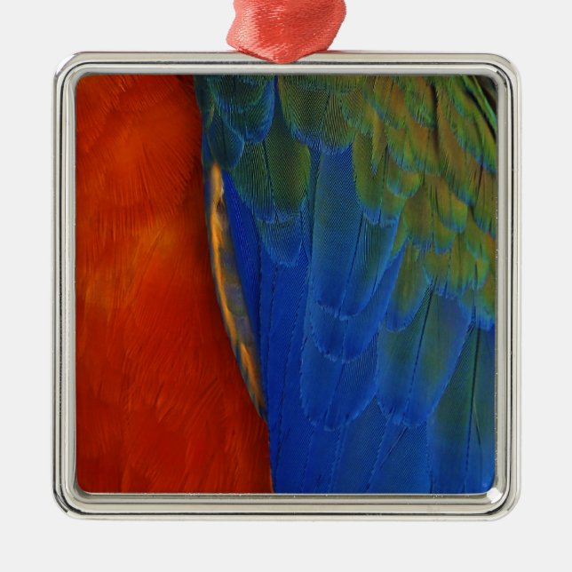 Macaw Feathers Julgransprydnad Metall (Framsidan)