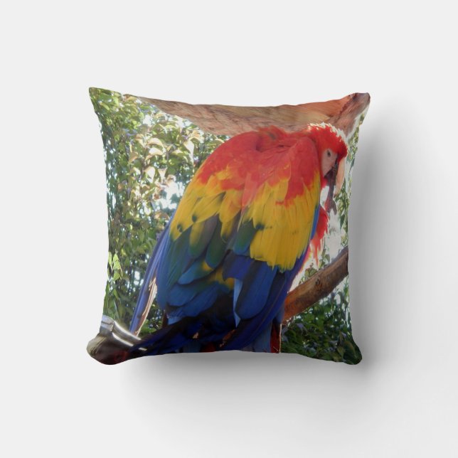 Macaw för fågelfoto #16-Scarlet Kudde (Framsida)