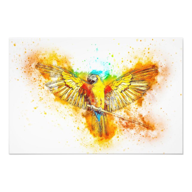 Macaw Fototryck (Framsidan)
