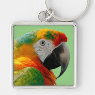Macaw Fyrkantig Silverfärgad Nyckelring