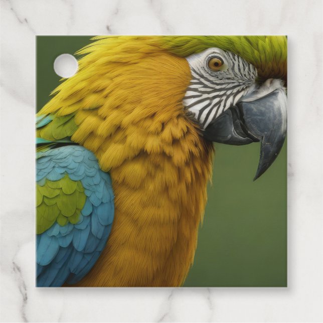 Macaw Gåvor Etiketter (Framsida)