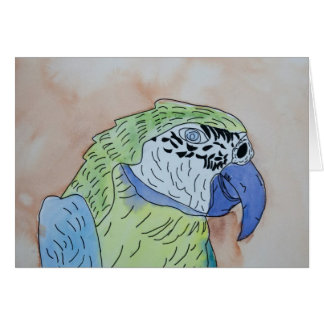 Macaw Hälsningskort
