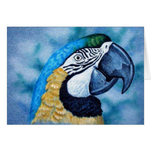Macaw Hälsningskort
