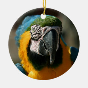 Macaw Julgransprydnad Keramik
