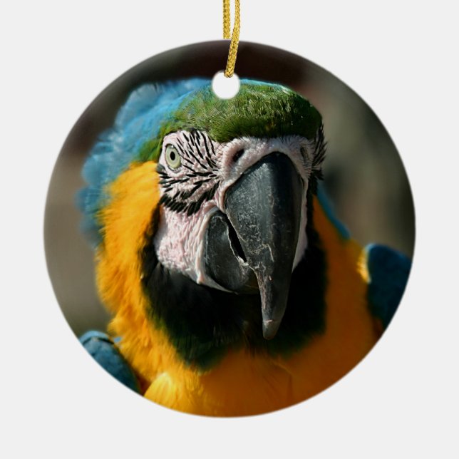 Macaw Julgransprydnad Keramik (Framsidan)