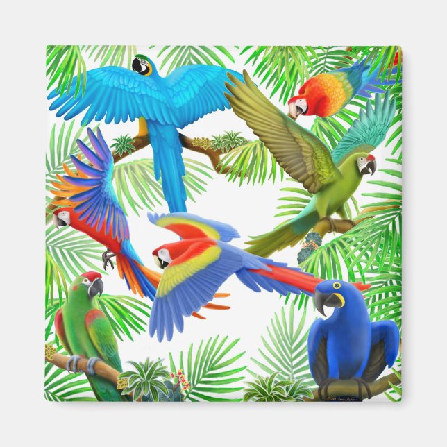 Macaw Jungle Magnet (Framsidan)