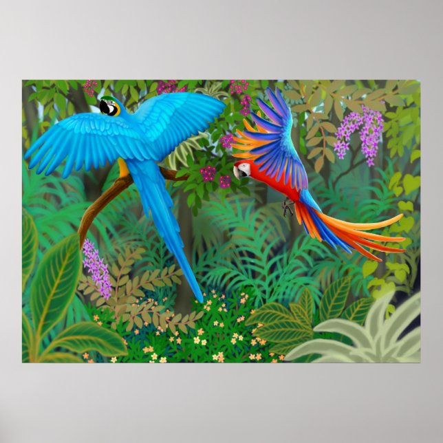 Macaw Jungle Poster (Framsidan)