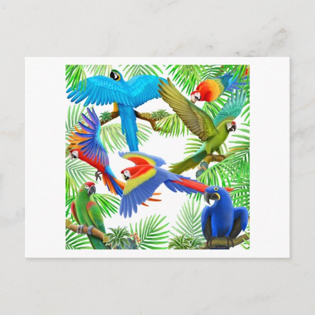 Macaw Jungle-vykort Vykort (Framsida)