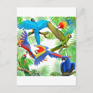 Macaw Jungle-vykort Vykort