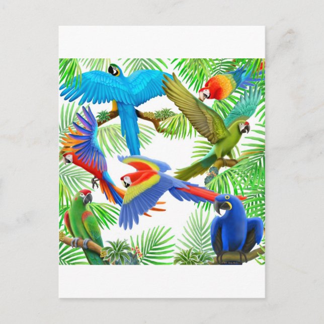 Macaw Jungle-vykort Vykort (Framsida)