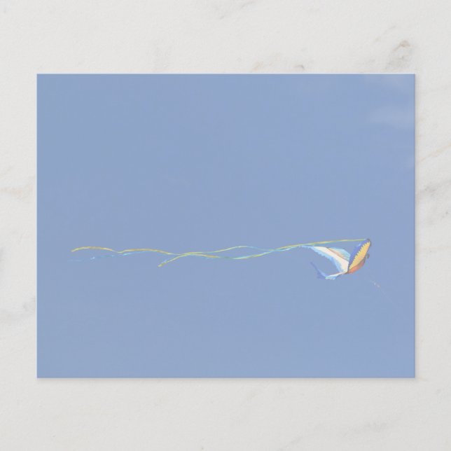 Macaw Kite (Framsida)