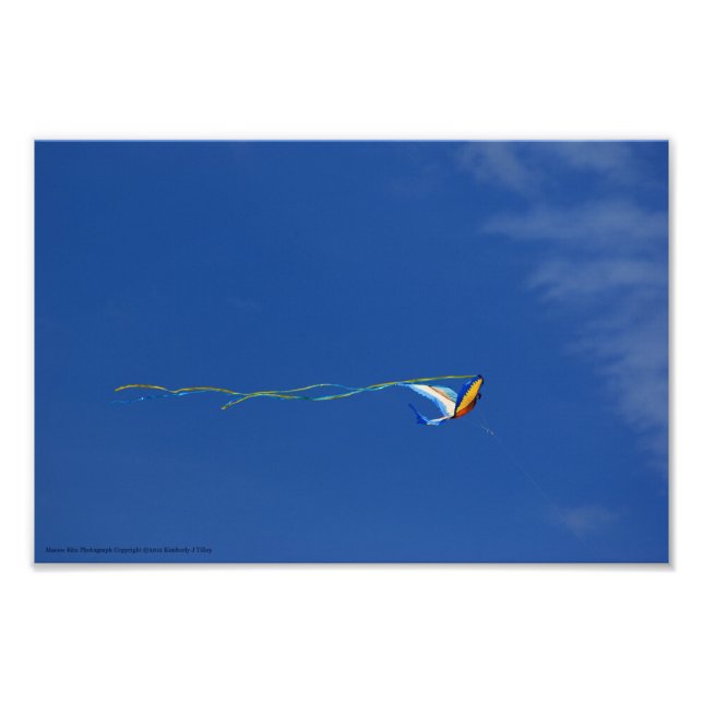 Macaw Kite Fototryck (Framsidan)