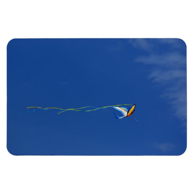 Macaw Kite Magnet (Horisontell)
