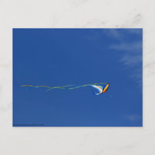 Macaw Kite Vykort