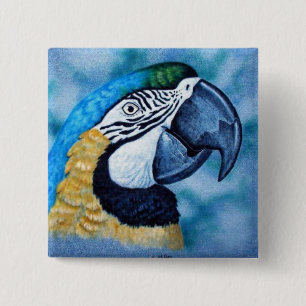 Macaw Knapp