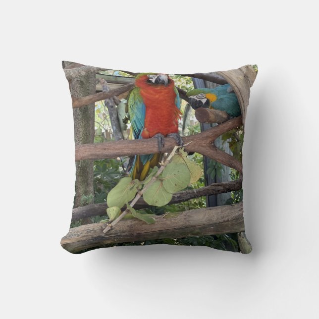 Macaw Kuddinkudde Kudde (Framsida)