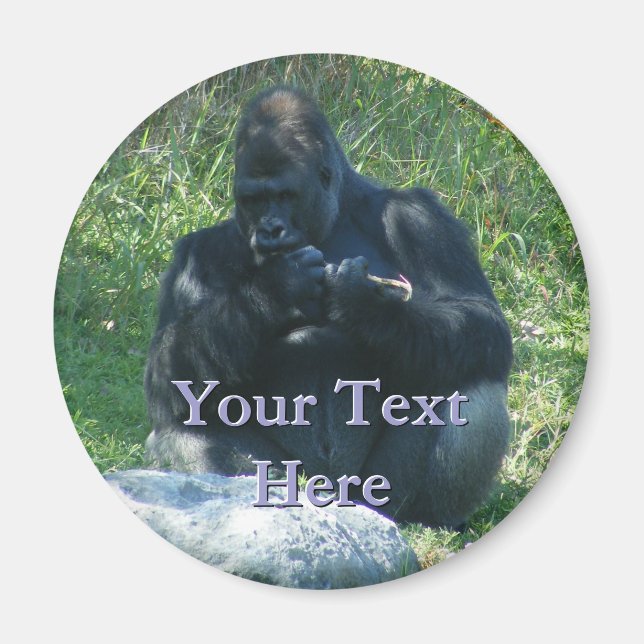 Macaw Magnet (Framsidan)