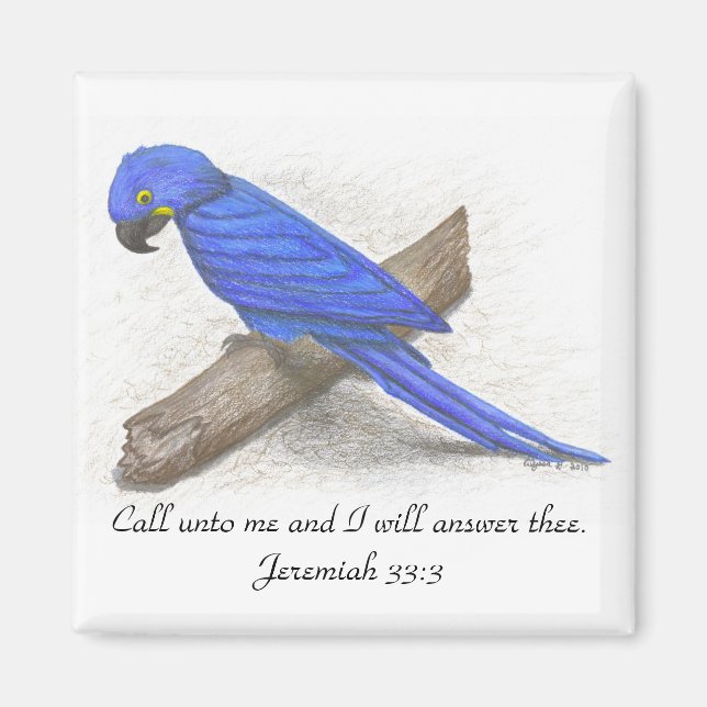 Macaw Magnet (Framsidan)