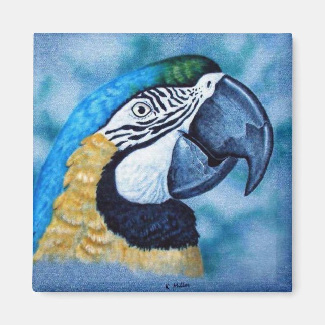 Macaw Magnet (Framsidan)