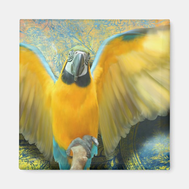 Macaw Magnet (Framsidan)