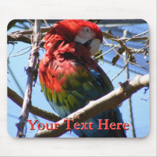 Macaw Mousepad Musmatta